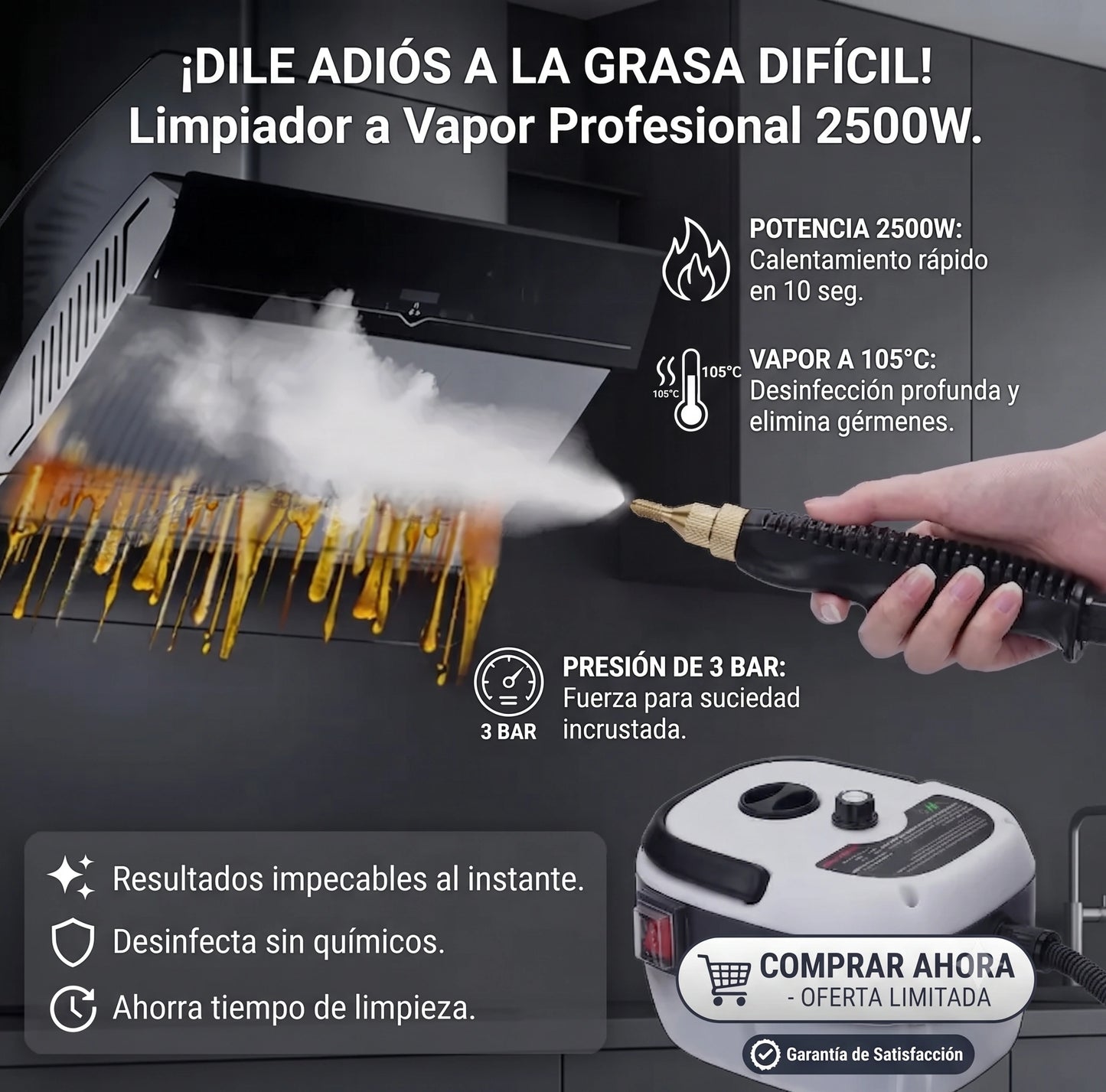 Limpiador A Vapor Portátil